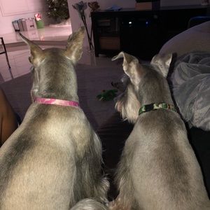 Meet your Posher, Adri